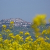Borgo di Acerenza