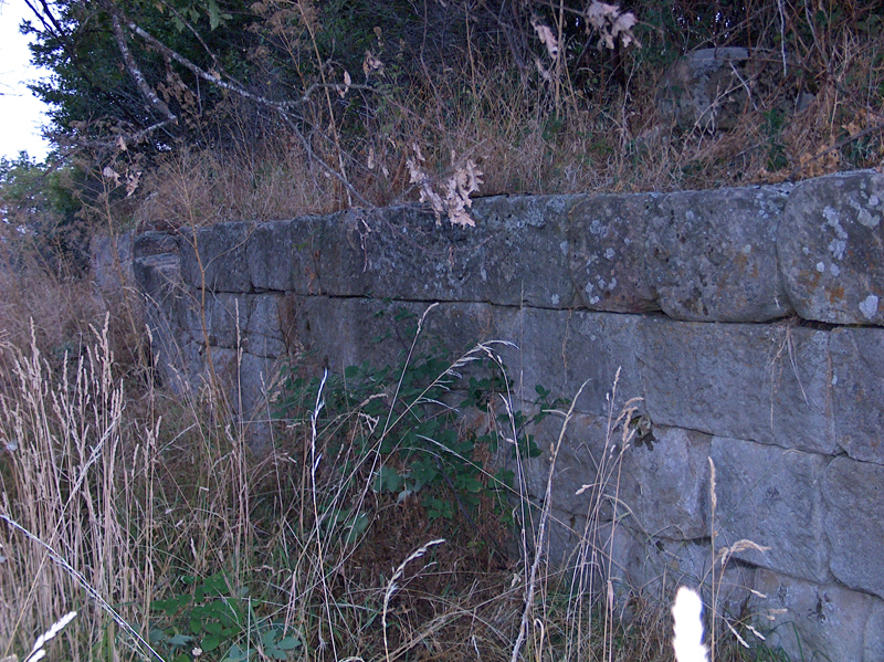 scavi_archeologici_torretta_pietragalla_1