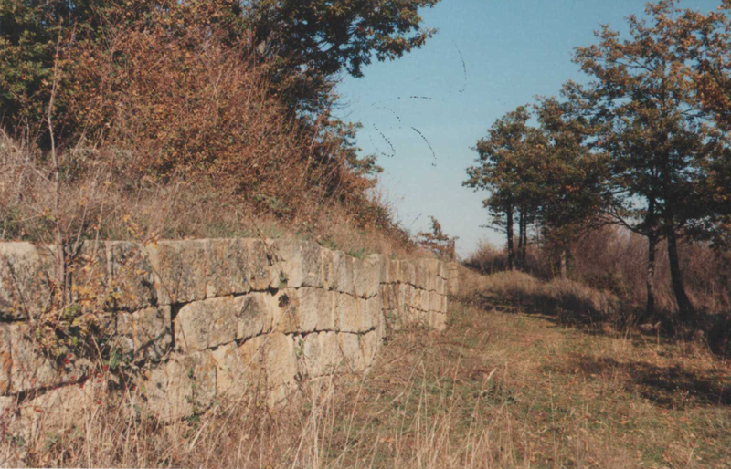 scavi_archeologici_torretta_pietragalla_3