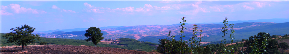 scavi_archeologici_torretta_pietragalla_4