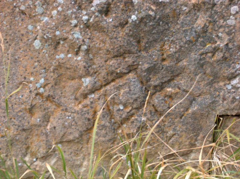 scavi_archeologici_torretta_pietragalla_5