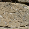 mt16