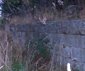 scavi_archeologici_torretta_pietragalla_1