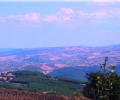 scavi_archeologici_torretta_pietragalla_4