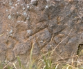 scavi_archeologici_torretta_pietragalla_5