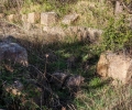torretta6